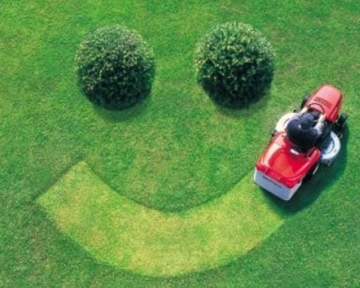 lawn care denver company