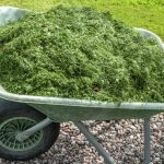 grass-mulch