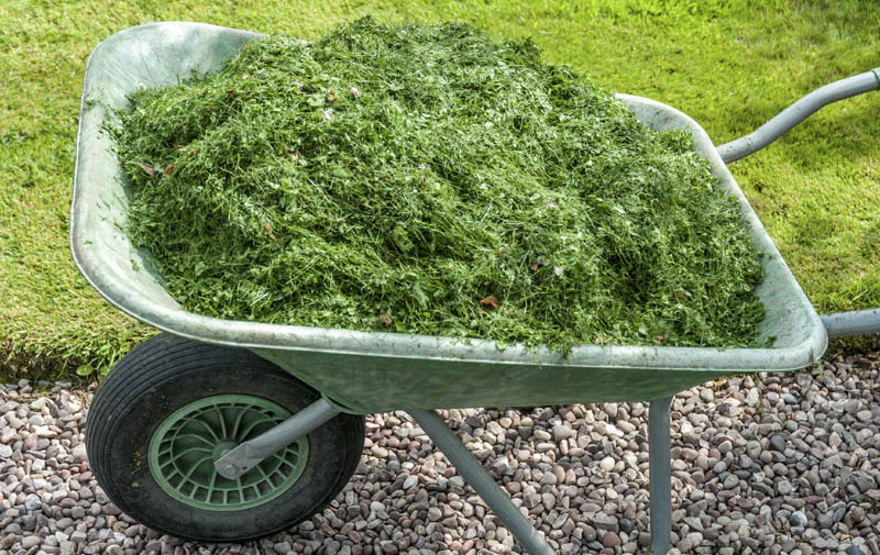 grass-mulch