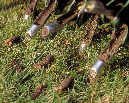 best time to aerate lawns